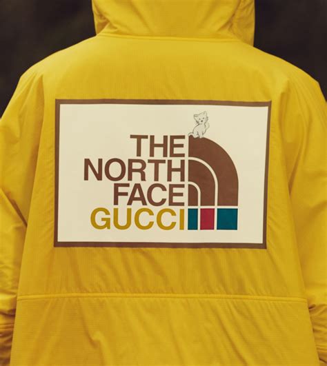 the north face gucci francis|north face gucci for sale.